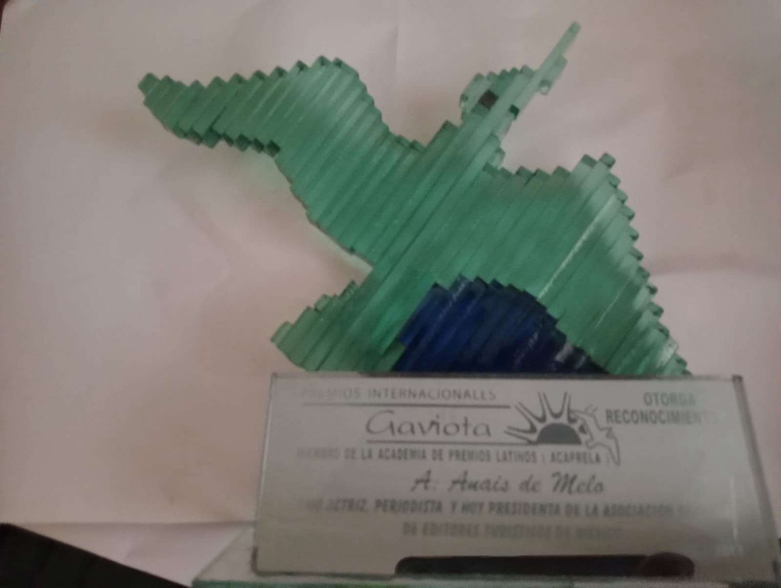 Trofeo cactus voxel reconocimiento